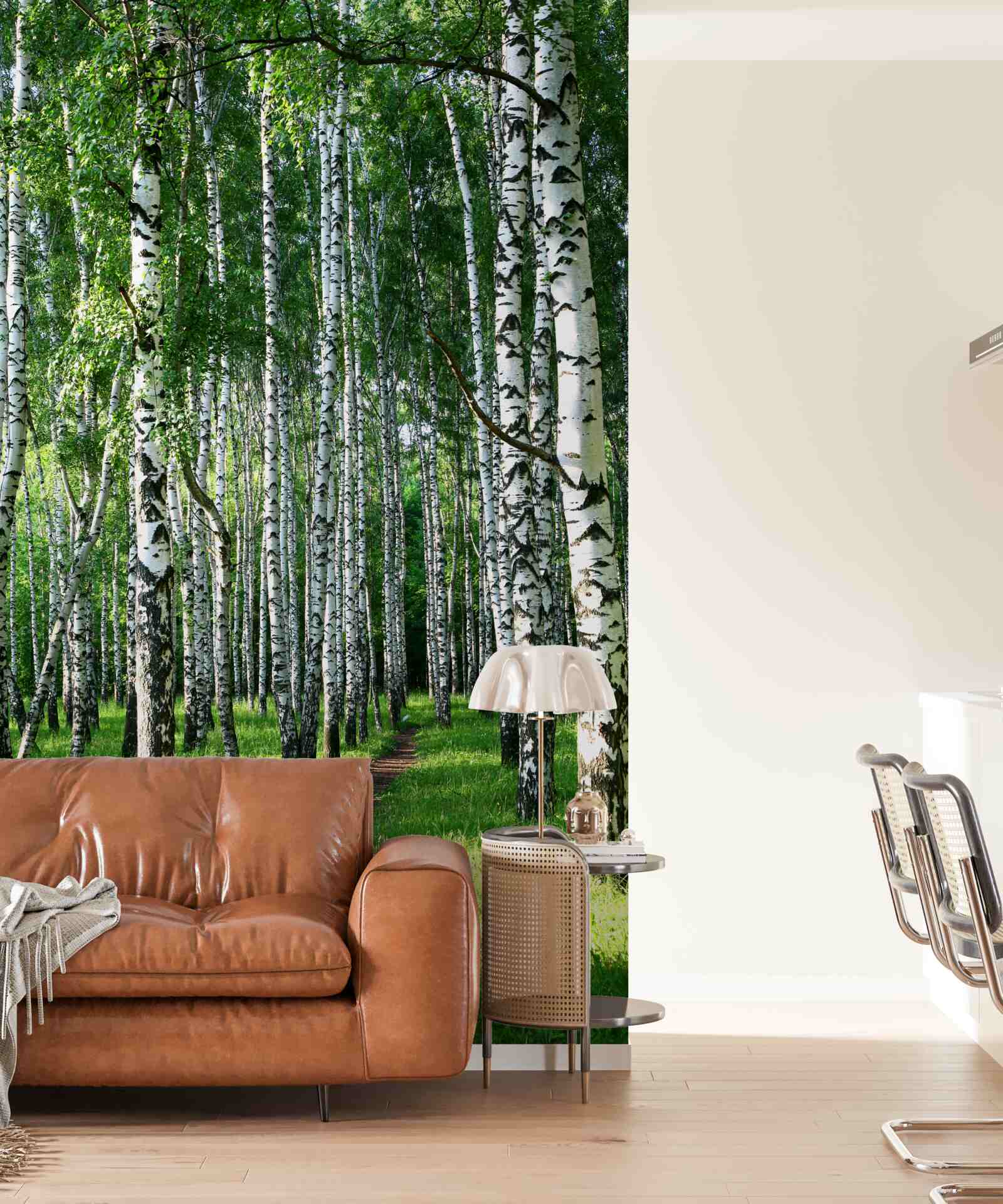 Papier peint chemin à travers un bosquet de bouleaux