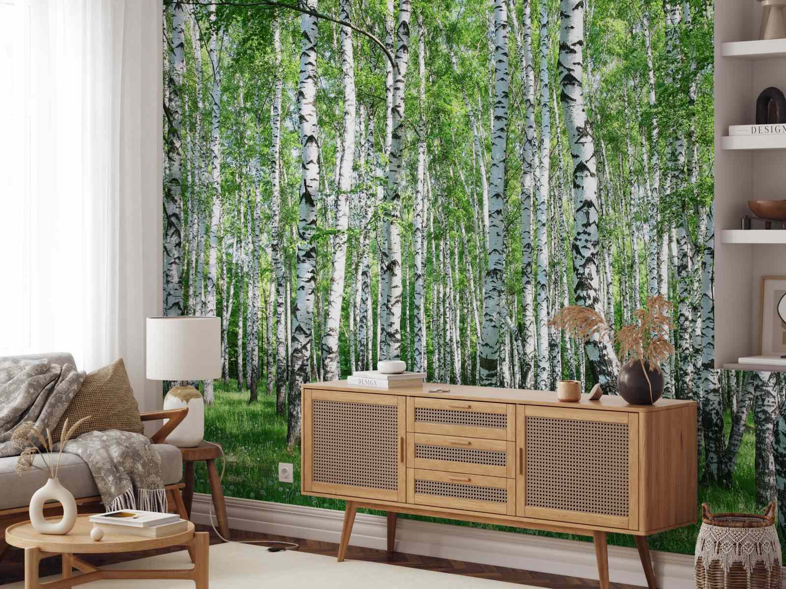 Papier peint il y a beaucoup de bouleaux dans la forêt