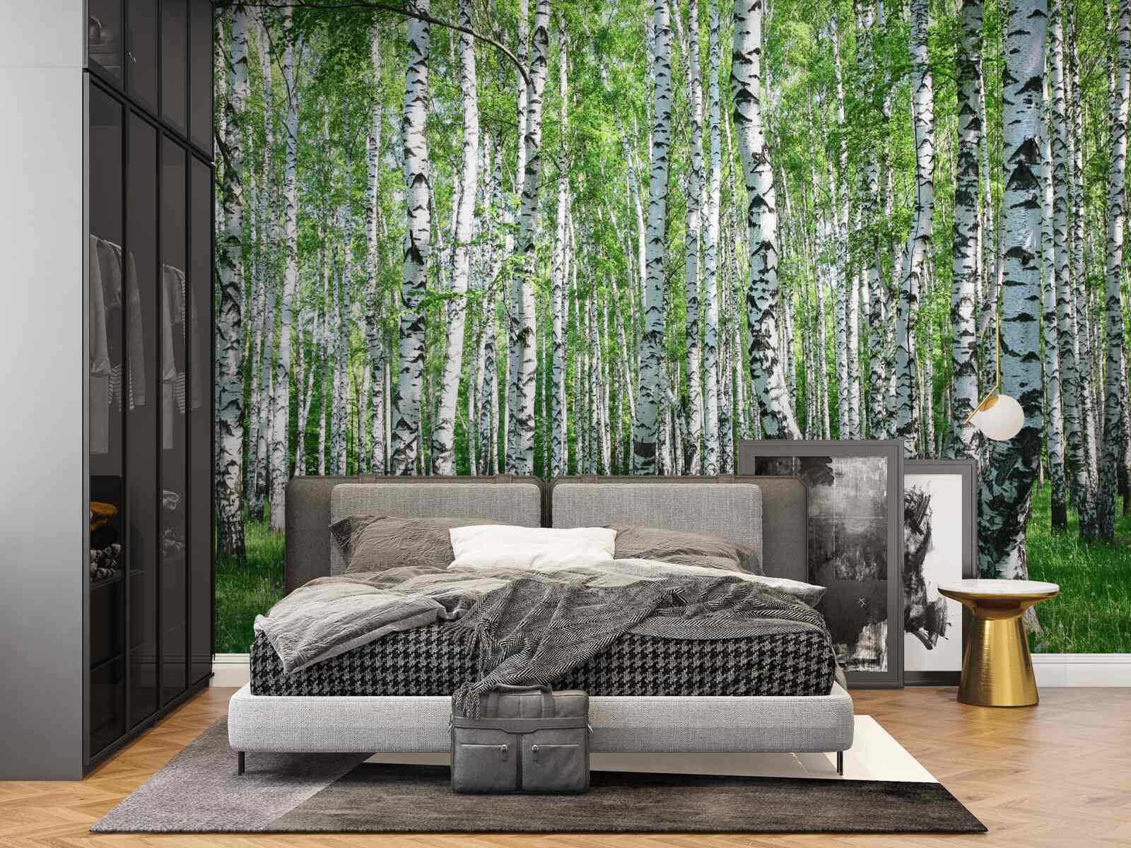 Papier peint il y a beaucoup de bouleaux dans la forêt