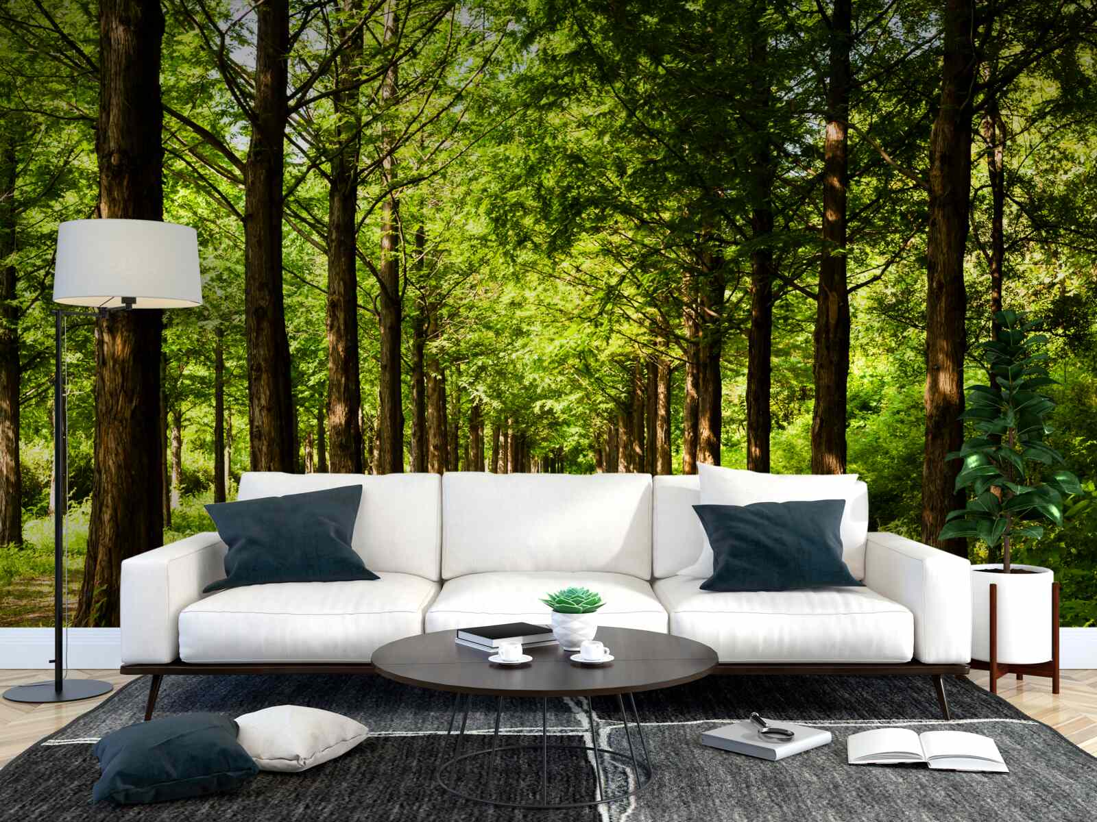 Papier peint chemin spacieux parmi les arbres émeraude