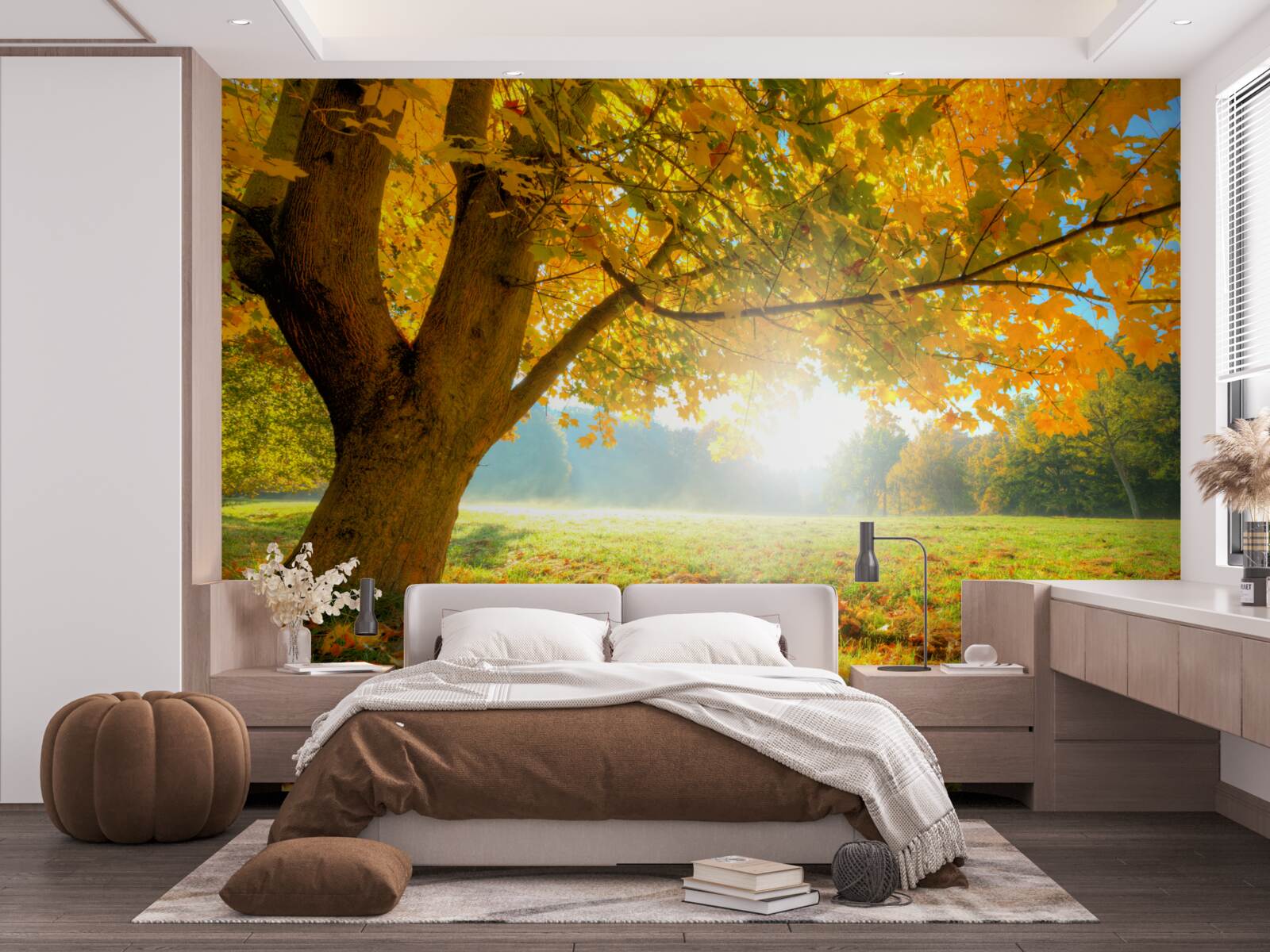 Papier peint forêt d'automne illuminée par le soleil