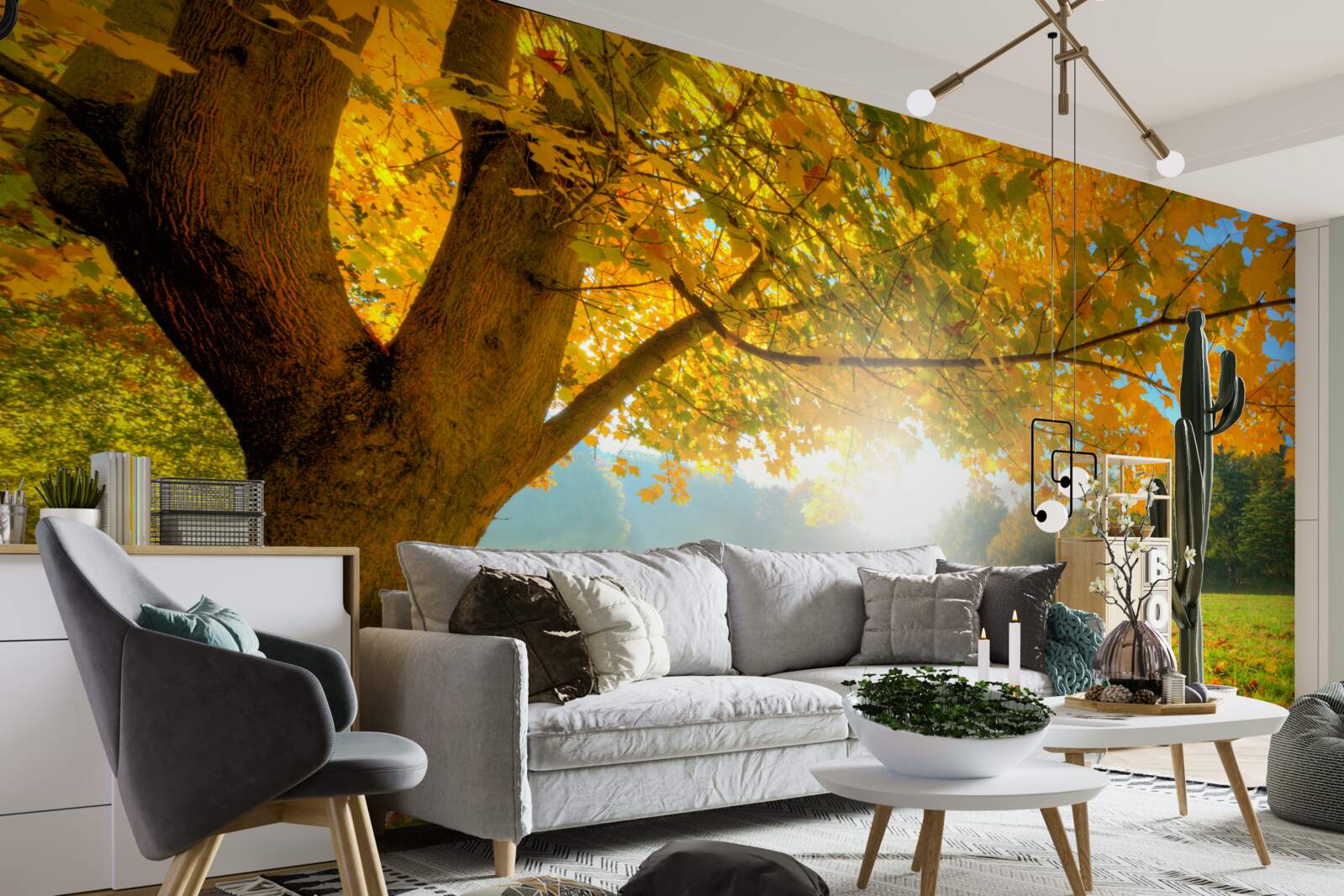 Papier peint forêt d'automne illuminée par le soleil