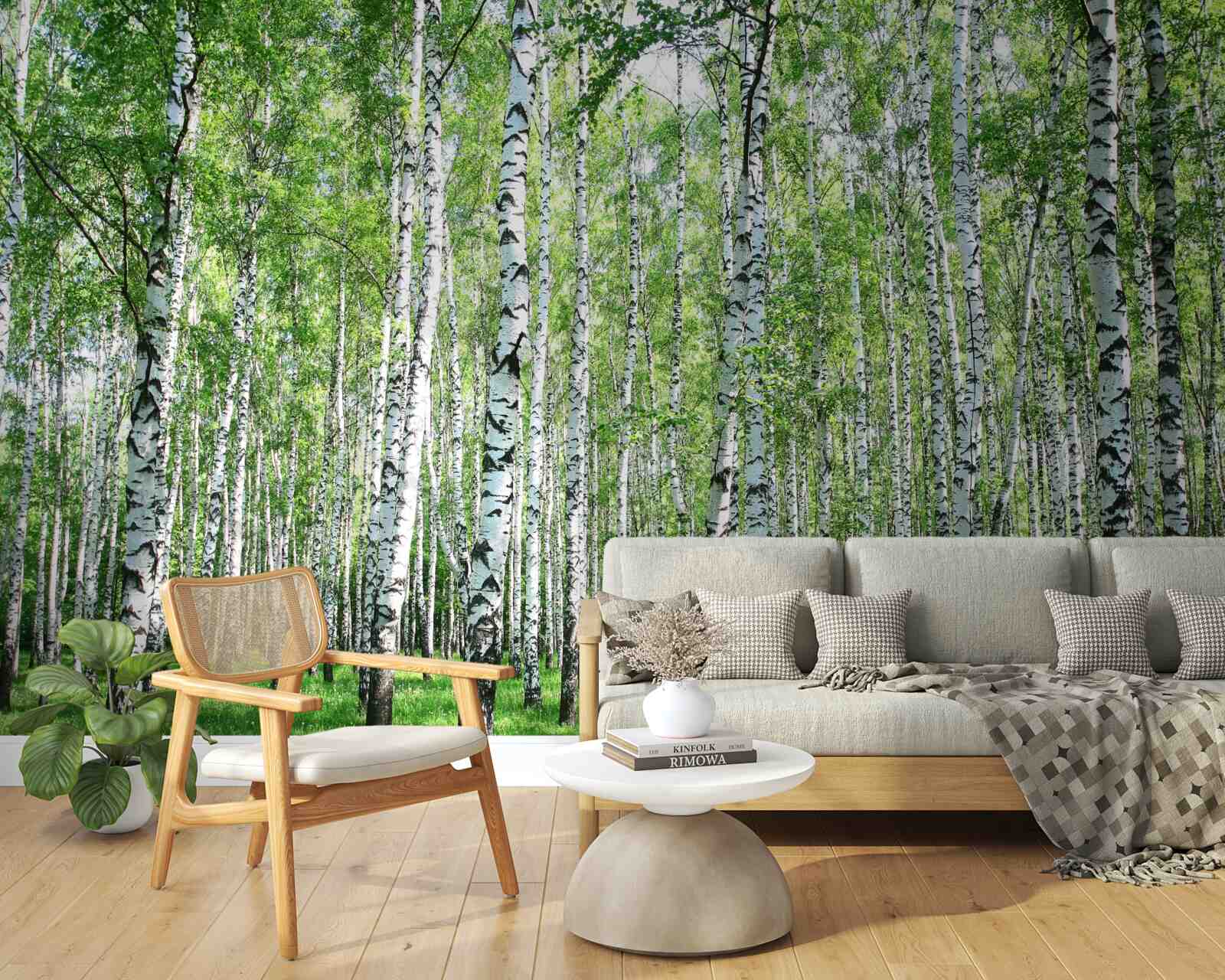 Papier peint gracieux, vers les bouleaux du ciel