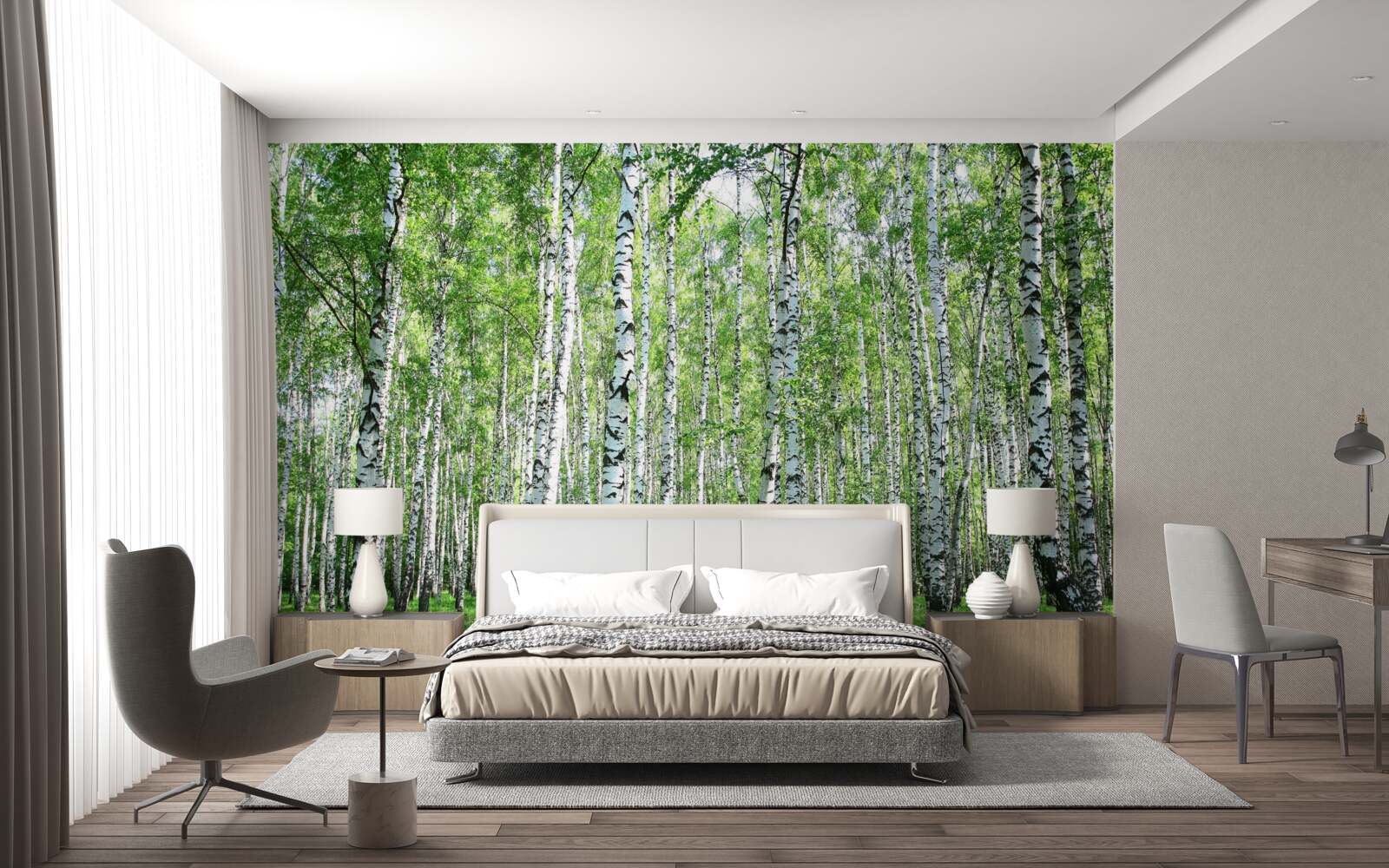 Papier peint gracieux, vers les bouleaux du ciel