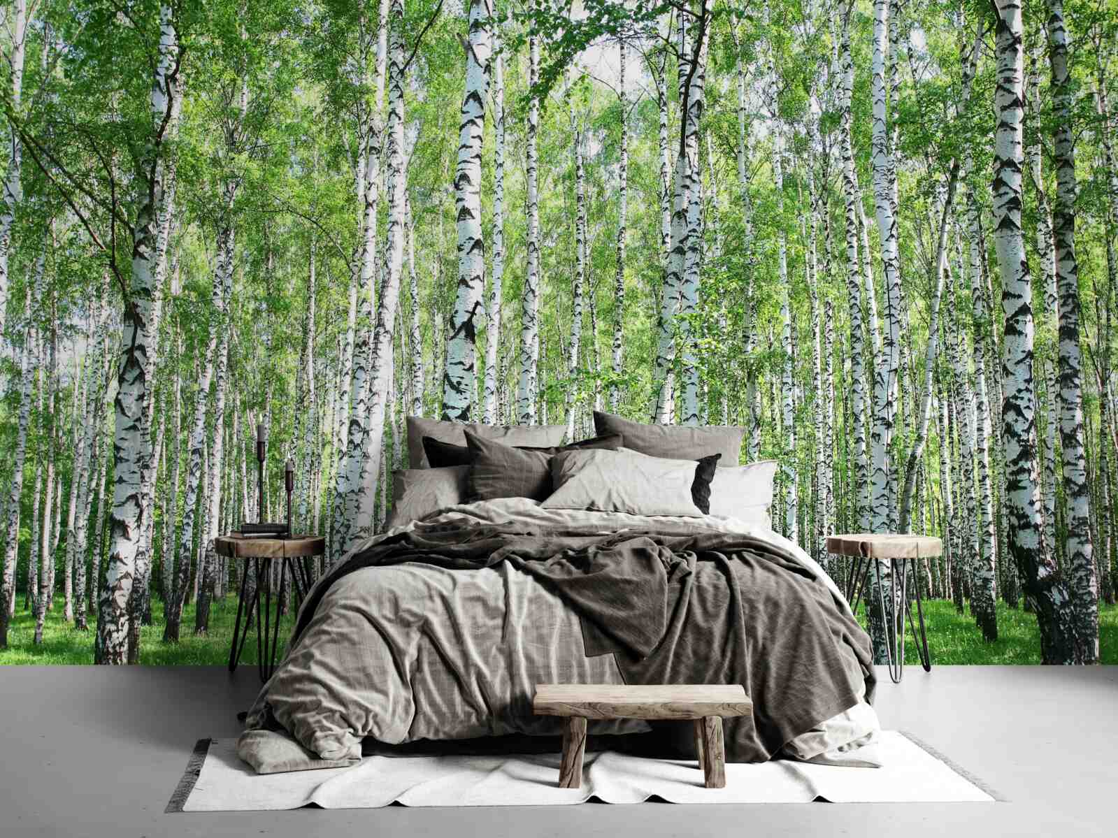 Papier peint gracieux, vers les bouleaux du ciel