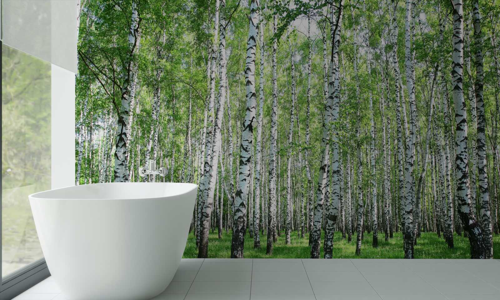 Papier peint gracieux, vers les bouleaux du ciel