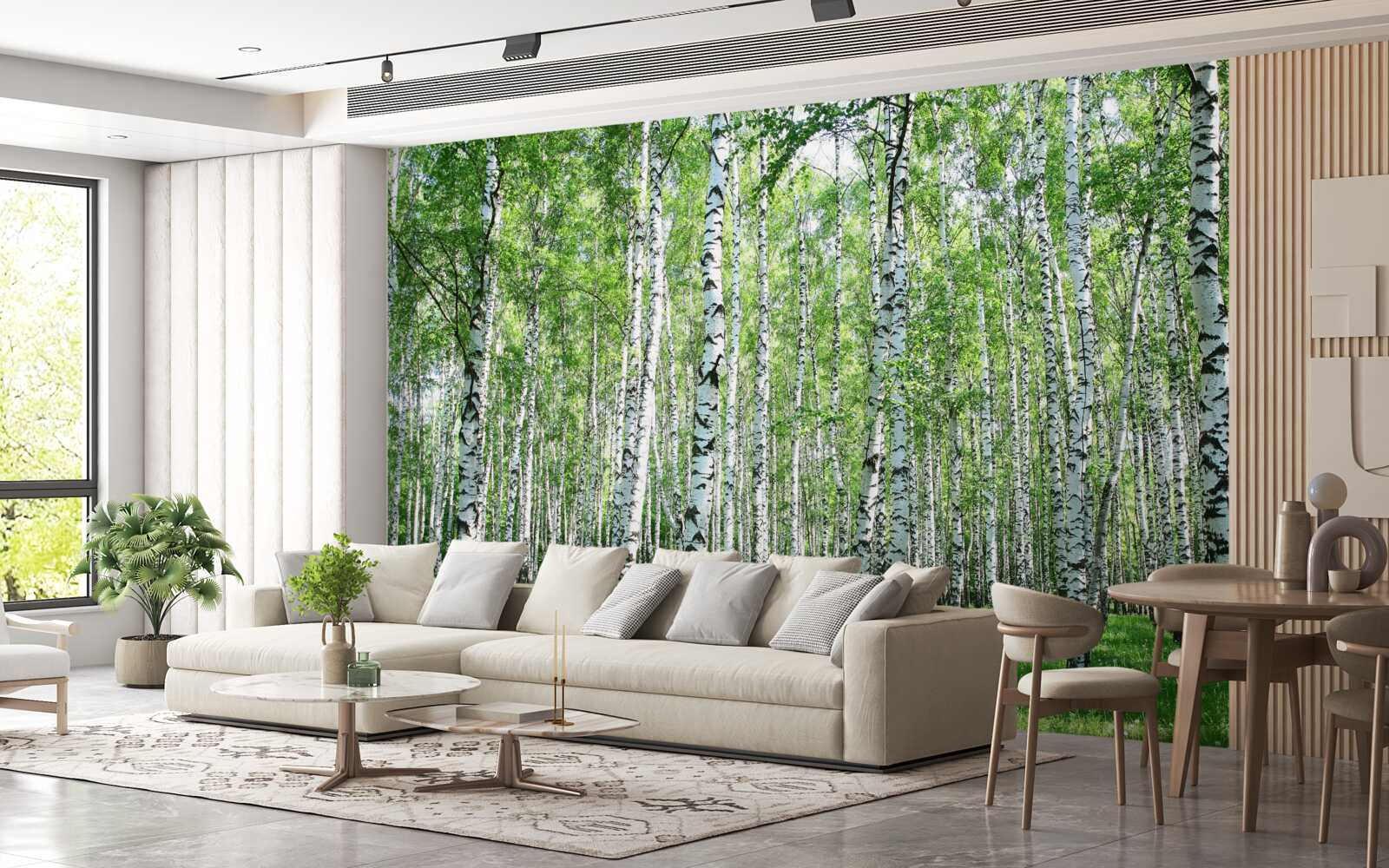 Papier peint gracieux, vers les bouleaux du ciel