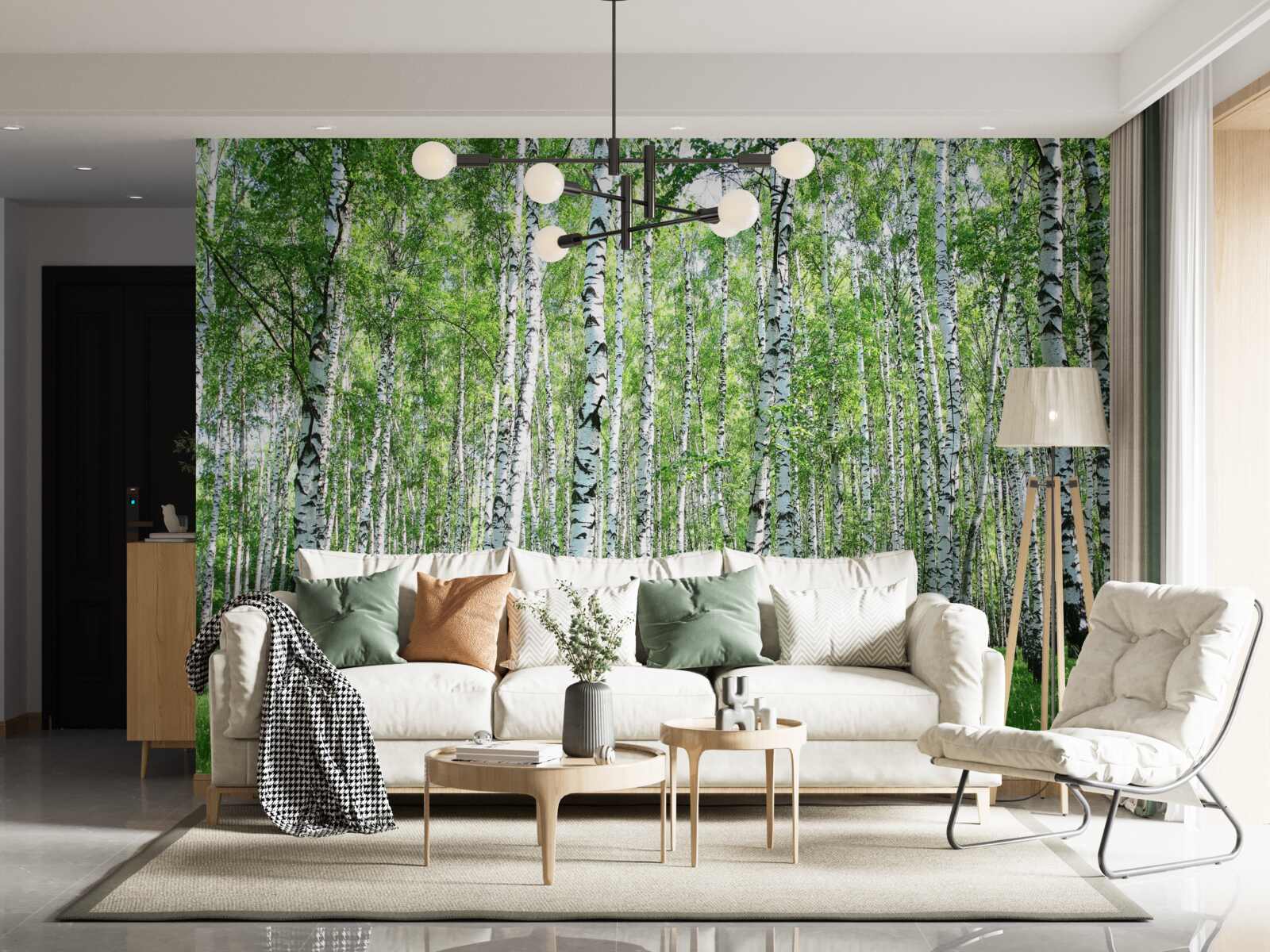 Papier peint gracieux, vers les bouleaux du ciel