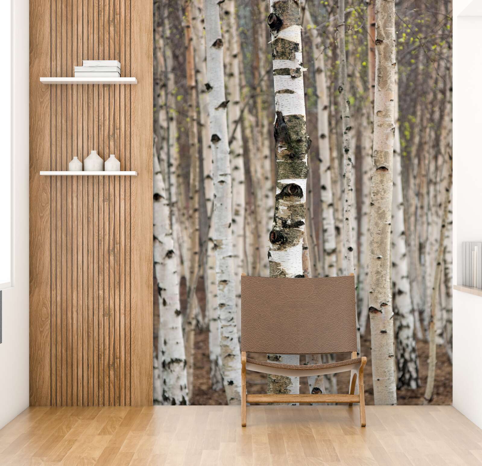 Papier peint les bouleaux dans la forêt