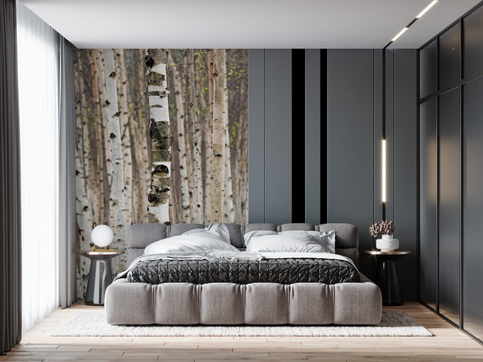 Papier peint les bouleaux dans la forêt