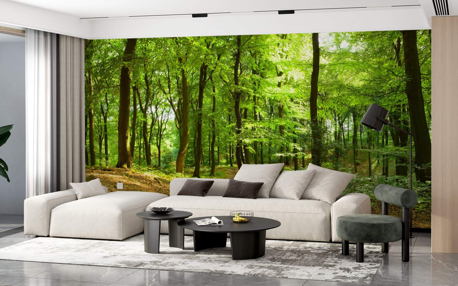 Papier peint pelouse dans une dense forêt d'émeraude