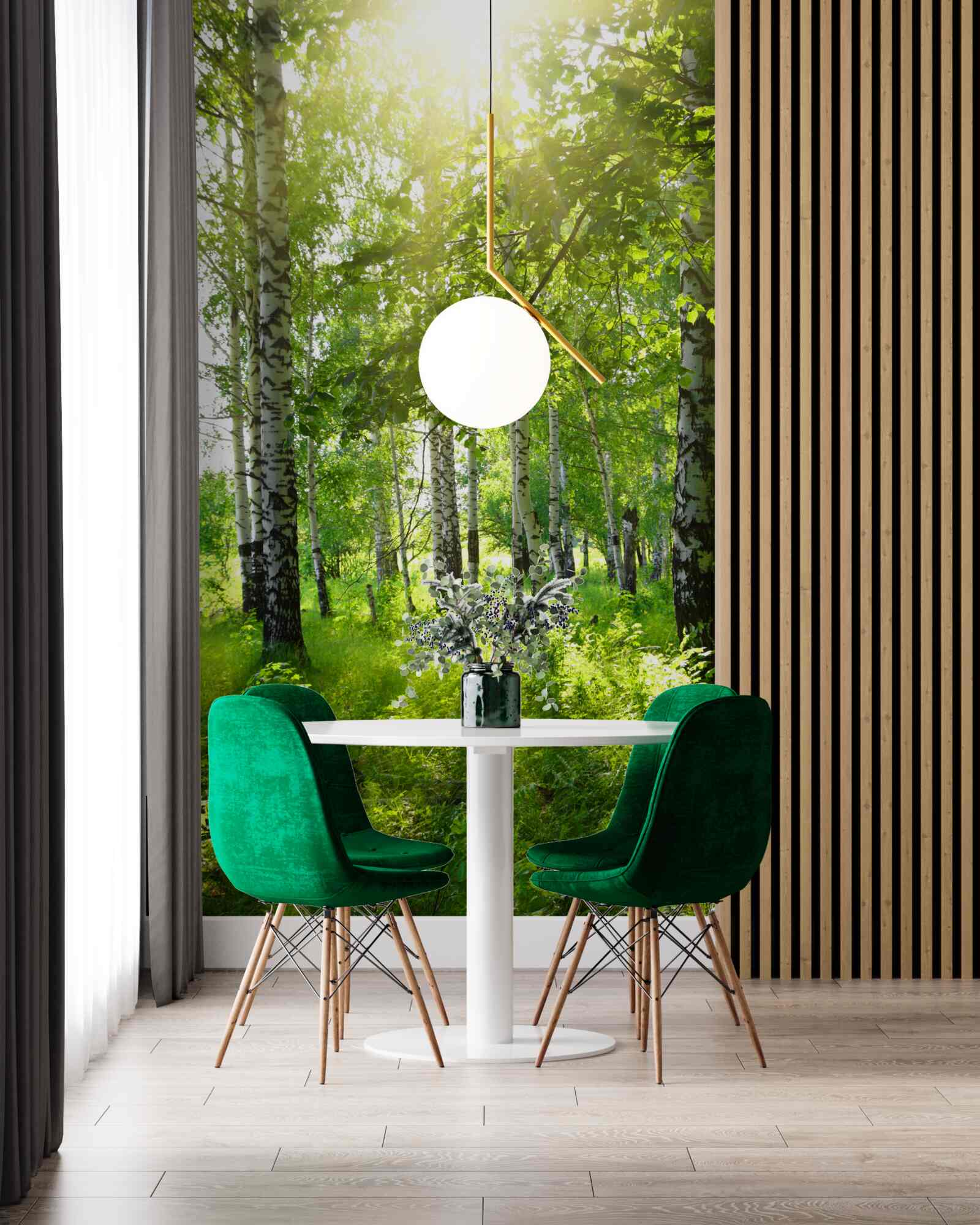 Papier peint soleil dans un bosquet de bouleaux