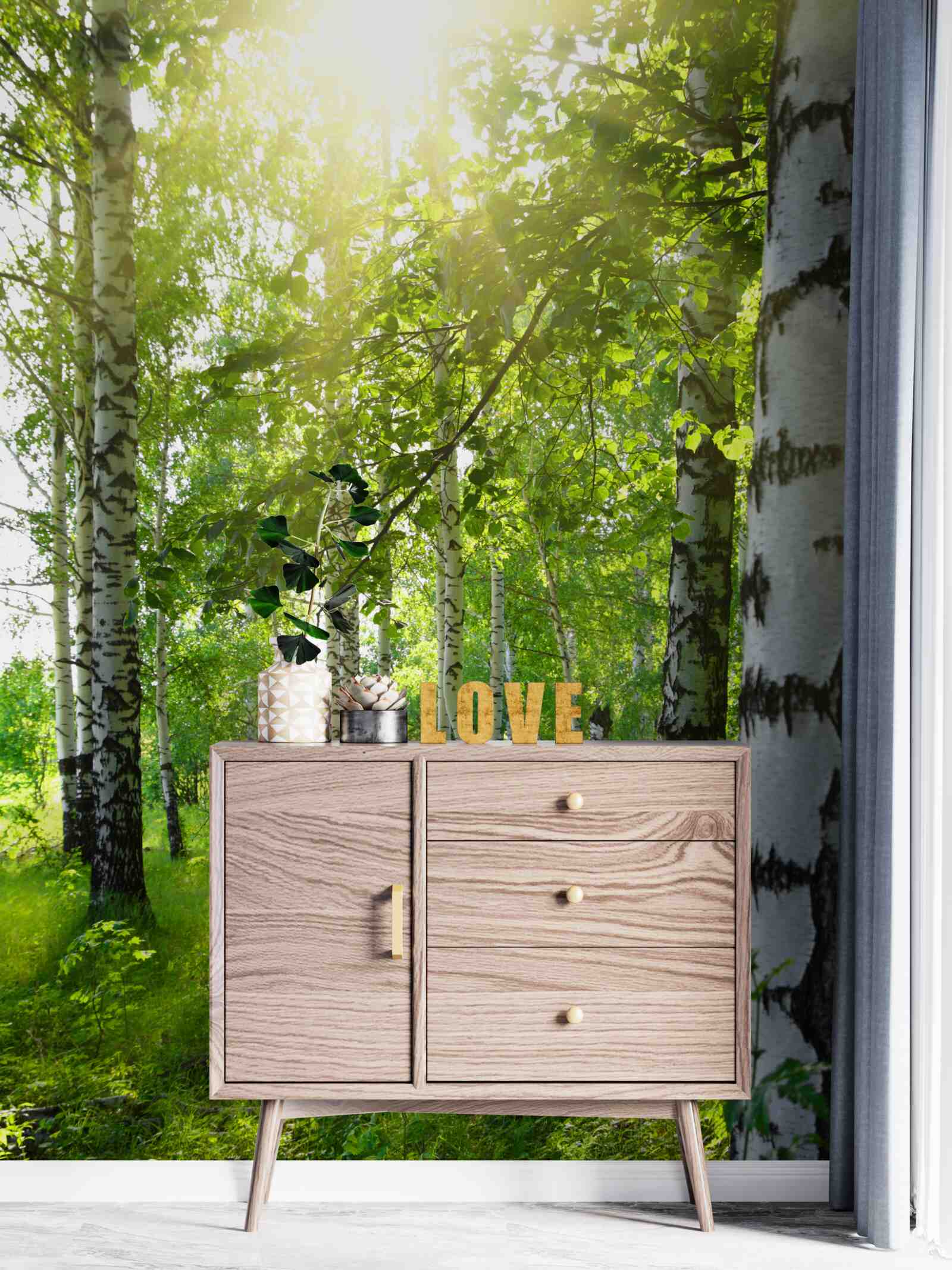 Papier peint soleil dans un bosquet de bouleaux