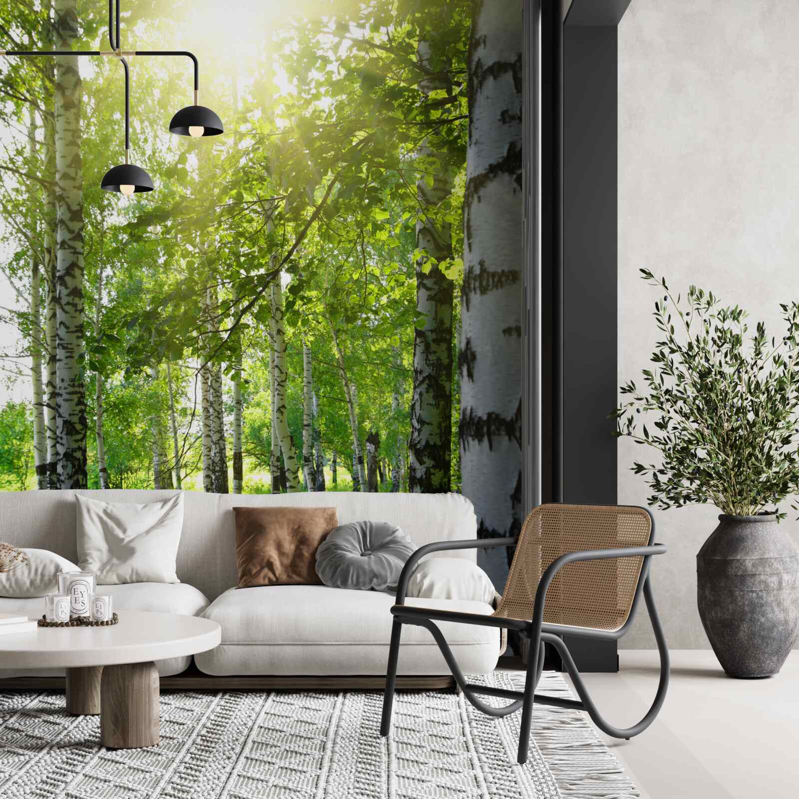 Papier peint soleil dans un bosquet de bouleaux