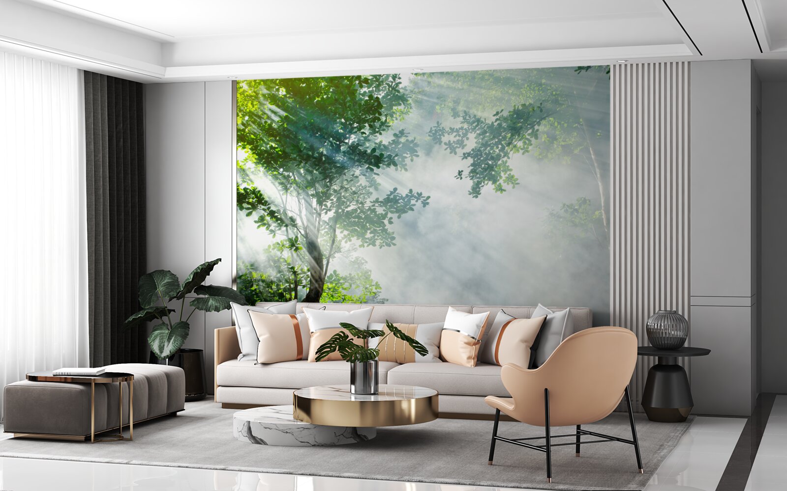 Papier peint les rayons du soleil matinal pénètrent dans la forêt