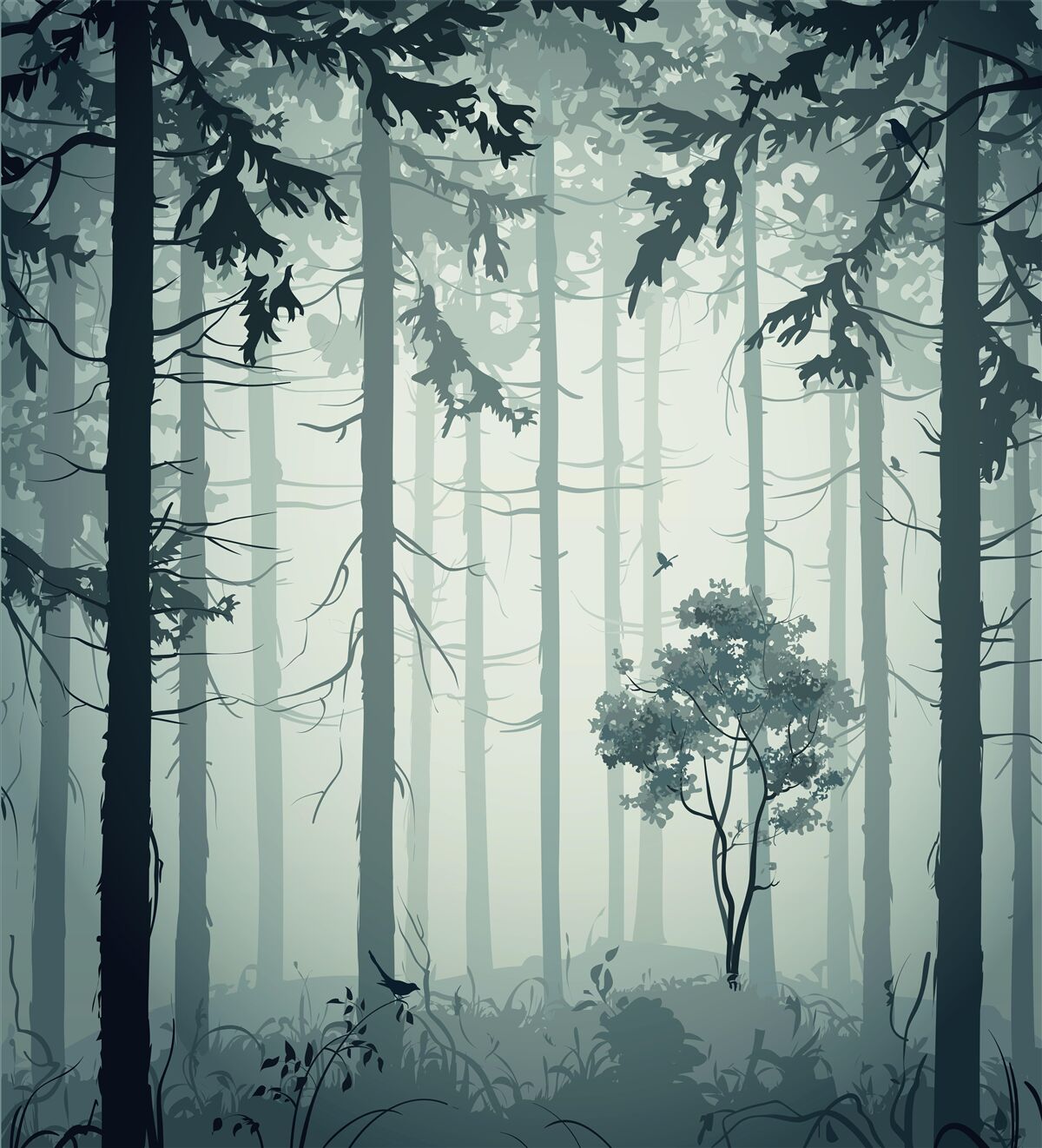 Papier peint forêt enveloppée d'une brume mystérieuse