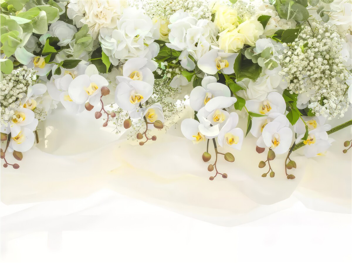 Papier peint orchidées blanches pendantes