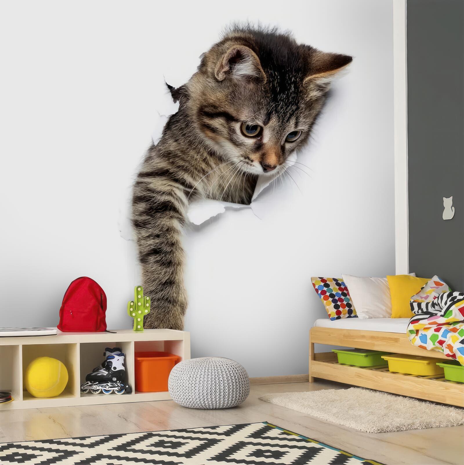 Papier peint un chaton émerge d'un mur blanc