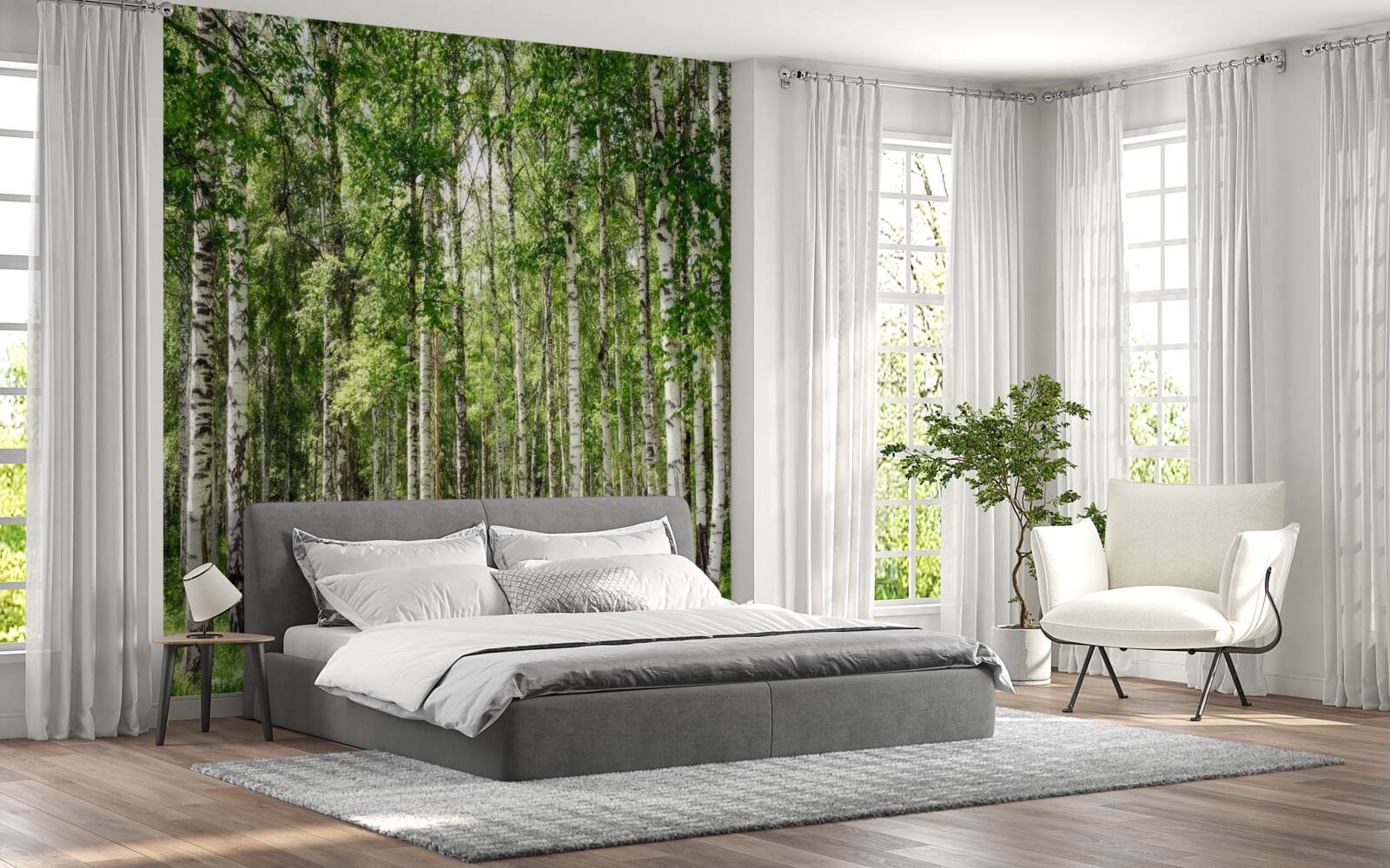 Papier peint plein de charme de bouleau