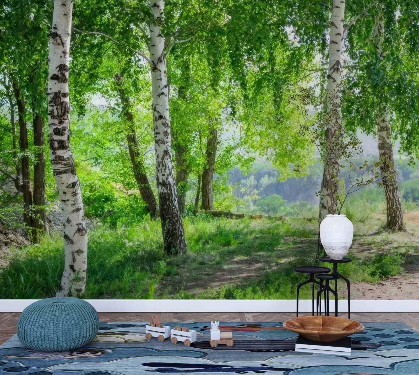 Papier peint une forêt de bouleaux verts