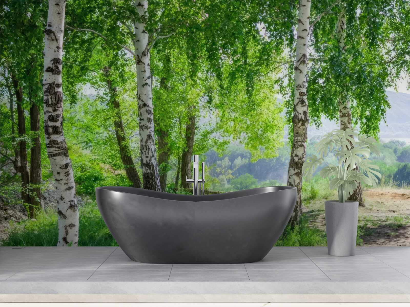 Papier peint une forêt de bouleaux verts