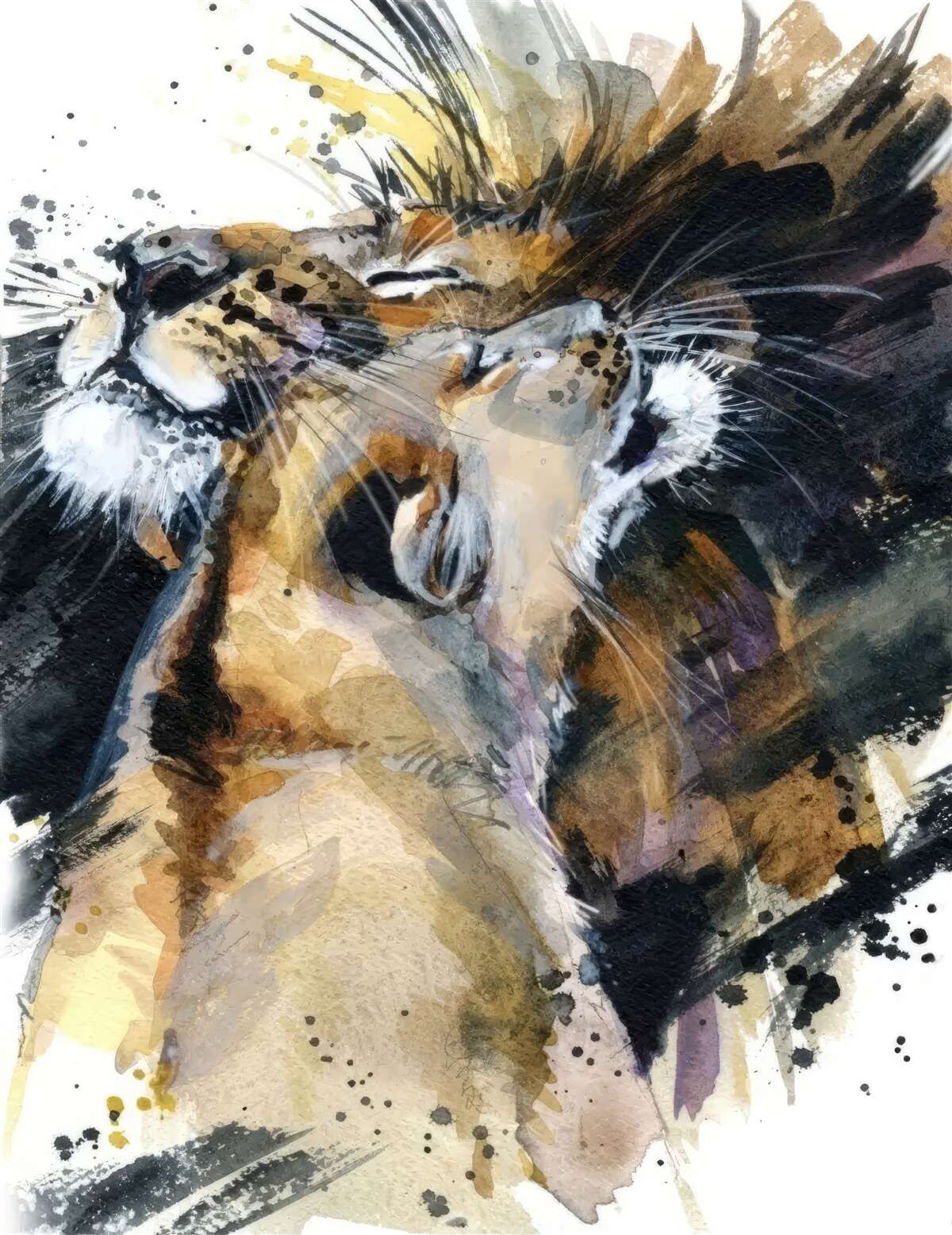 Papier peint images du lion et de la lionne