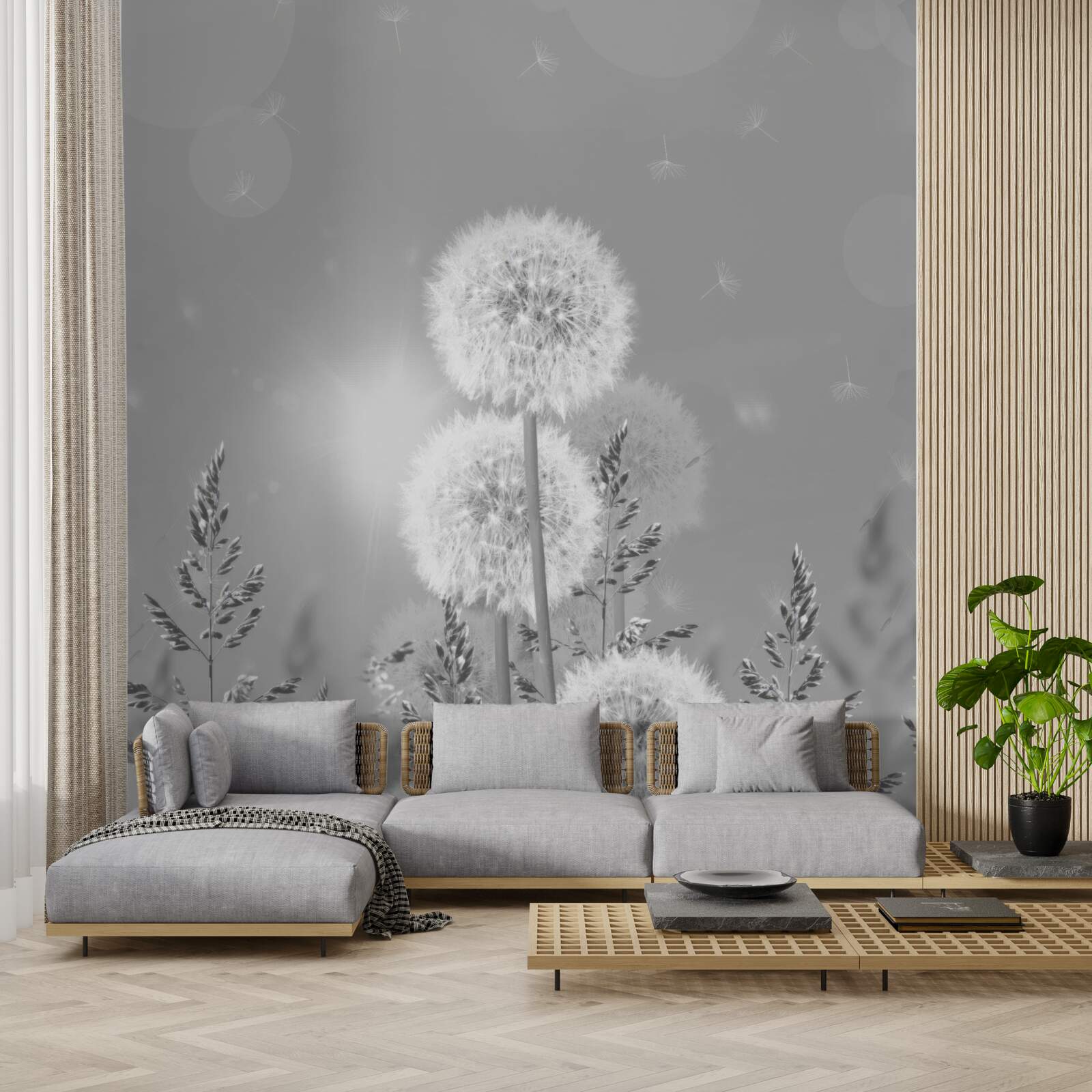 Papier peint pissenlits en noir et blanc