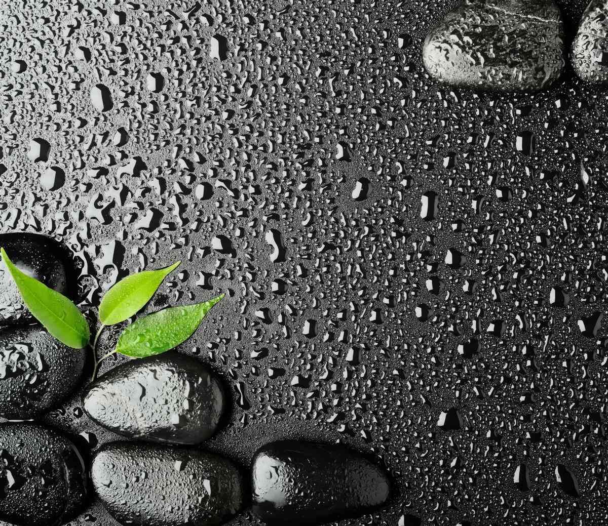 Papier peint feuilles vertes et pierres noires