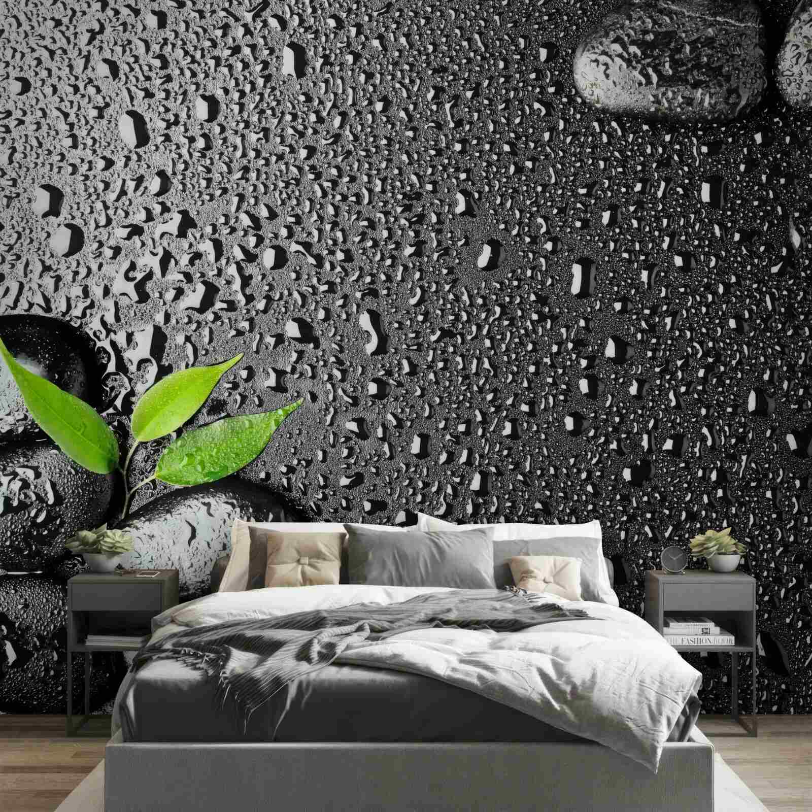 Papier peint feuilles vertes et pierres noires