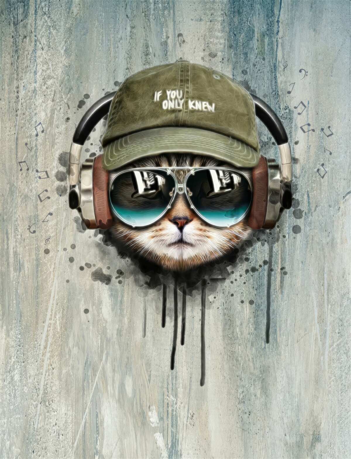 Papier peint chat à la mode