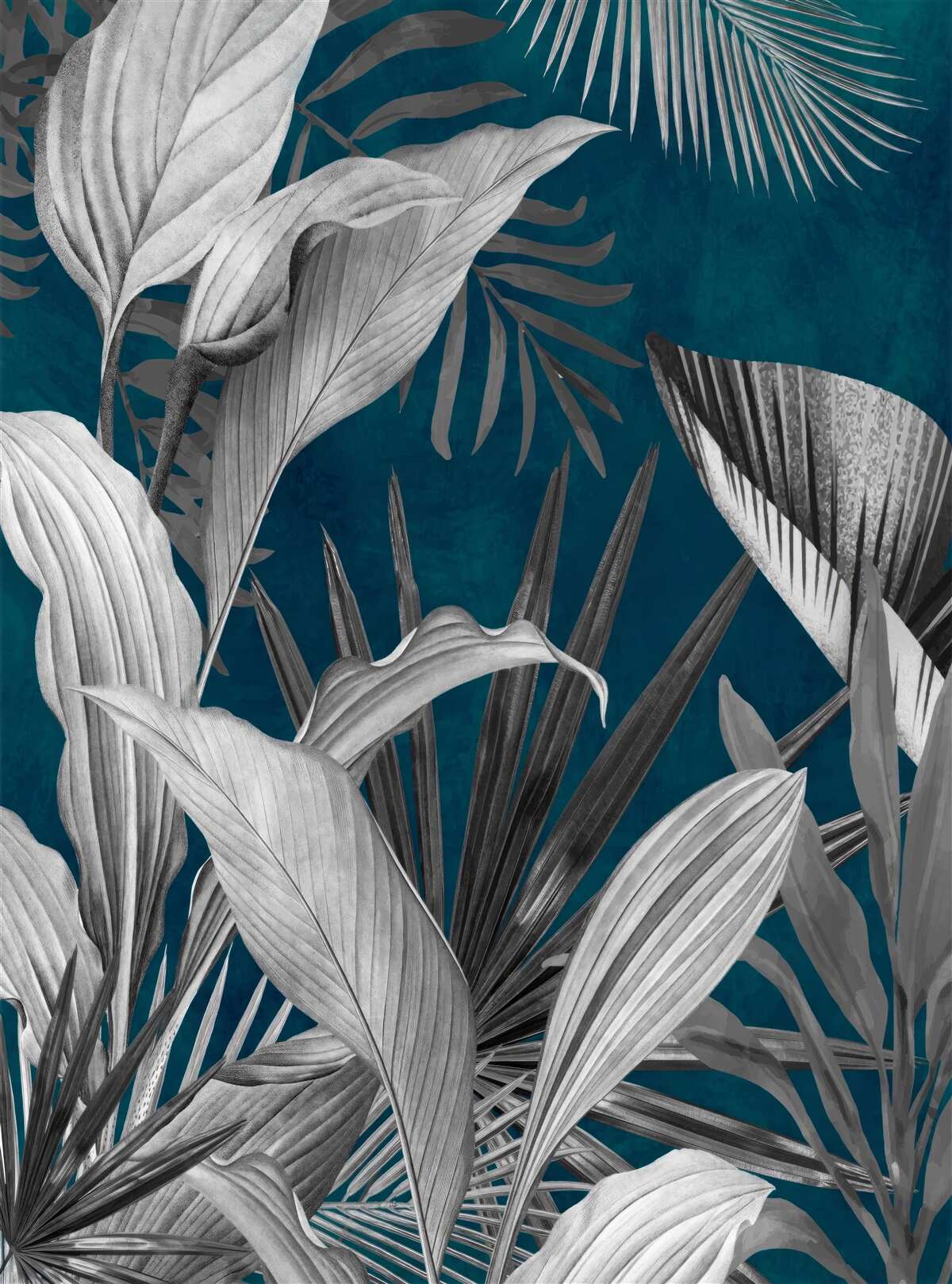 Papier peint arrière-plan de différentes feuilles lumineuses