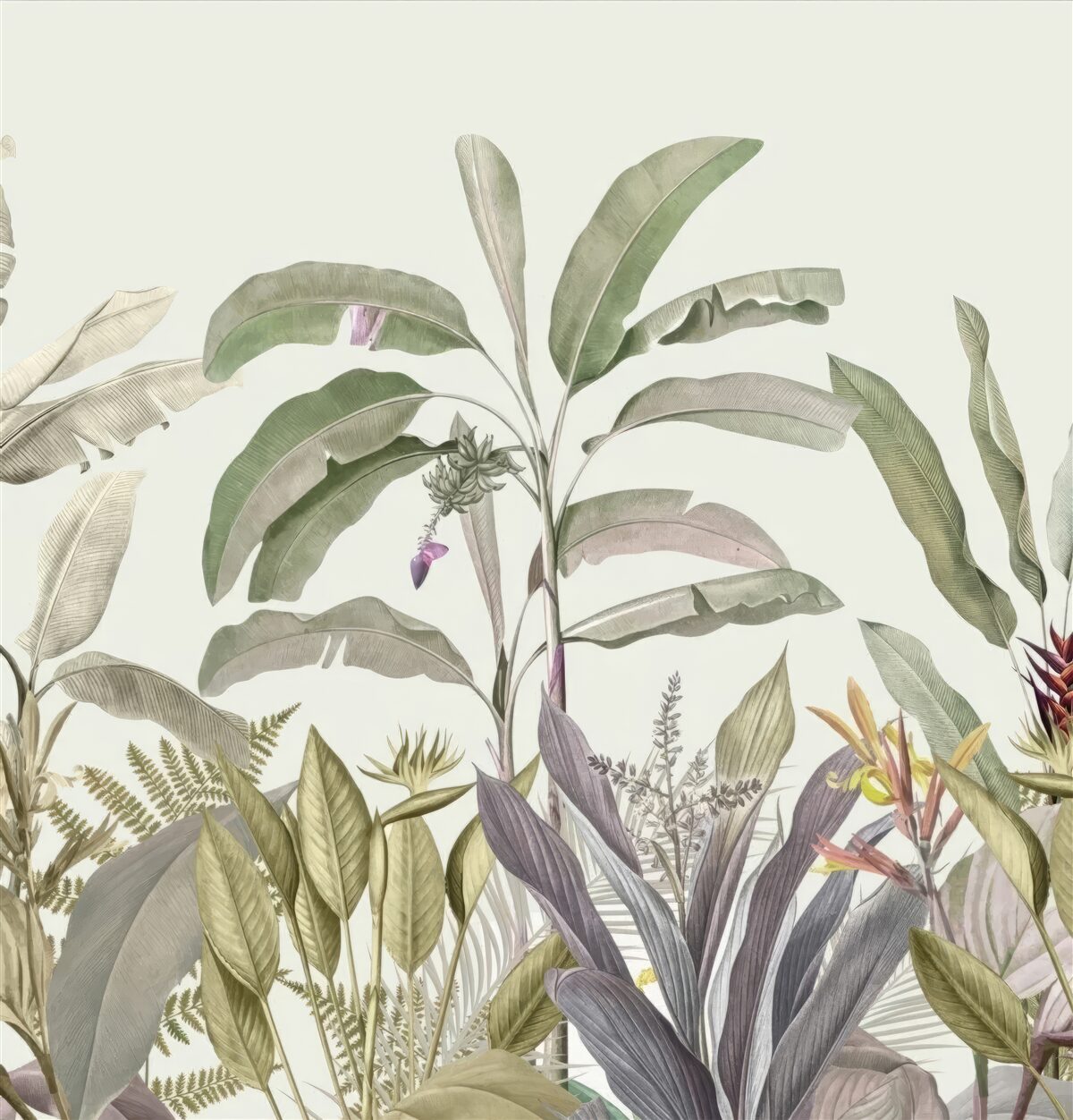 Papier peint des plantes et des feuilles clairsemées