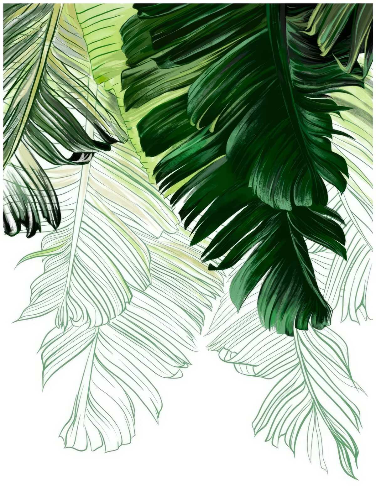 Papier peint nuances de vert des grandes feuilles de fougère