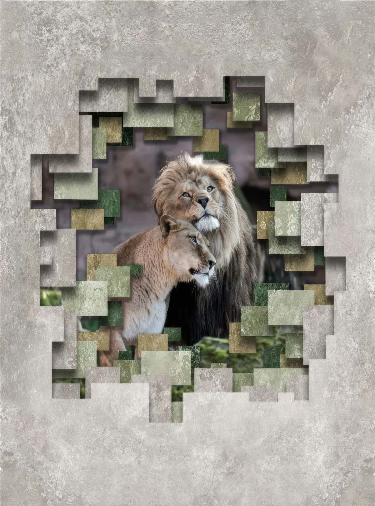 Papier peint lion et lionne unis