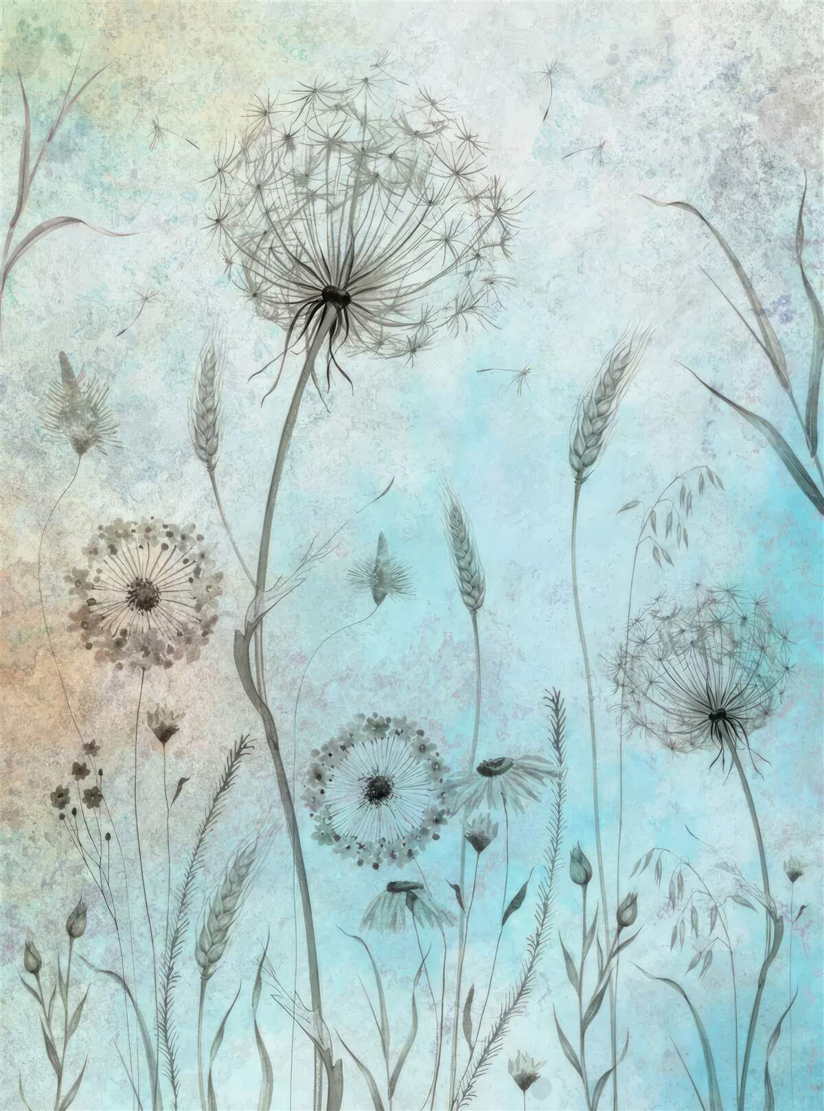 Papier peint blé et pissenlit