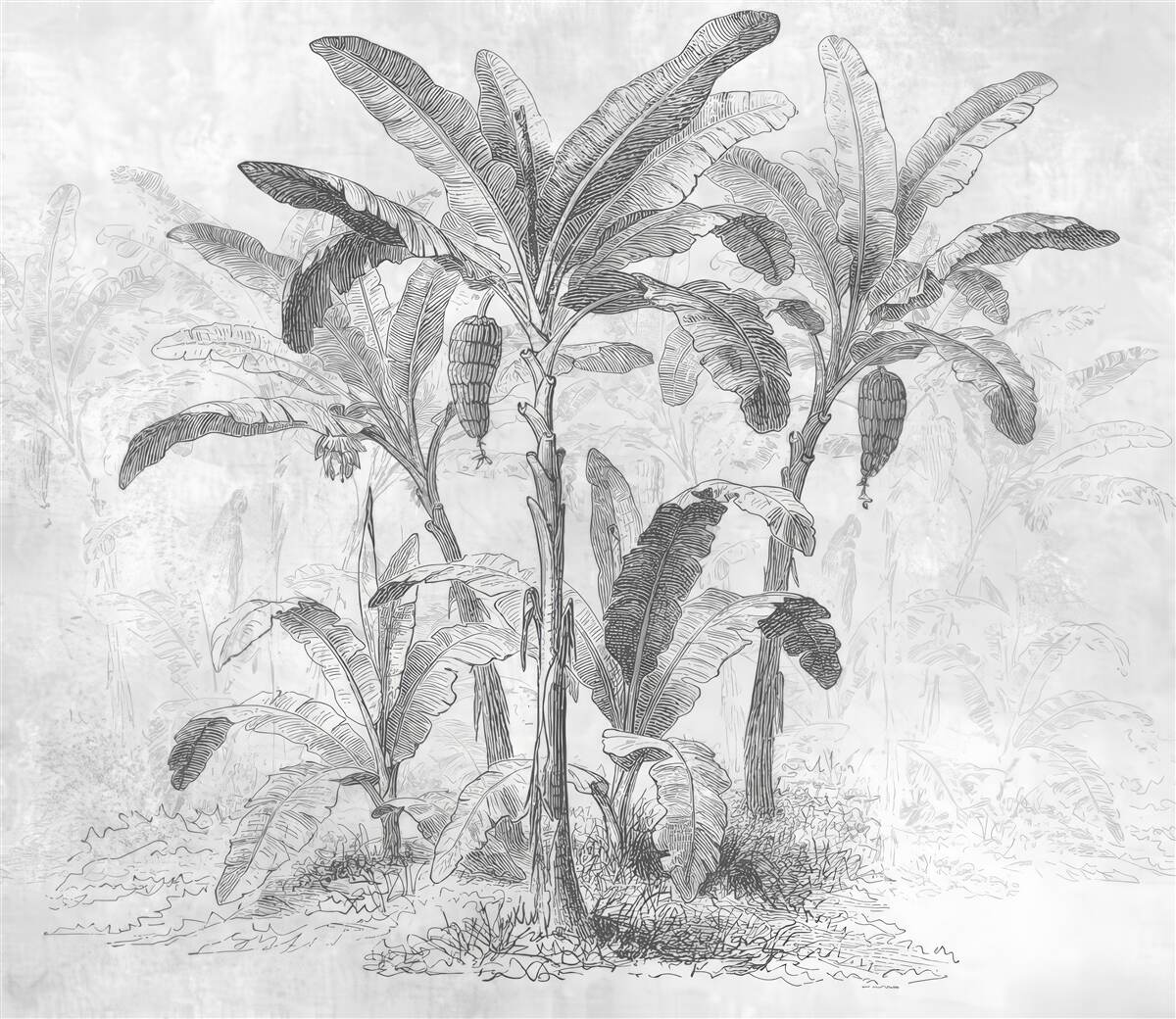 Papier peint les paumes montrées