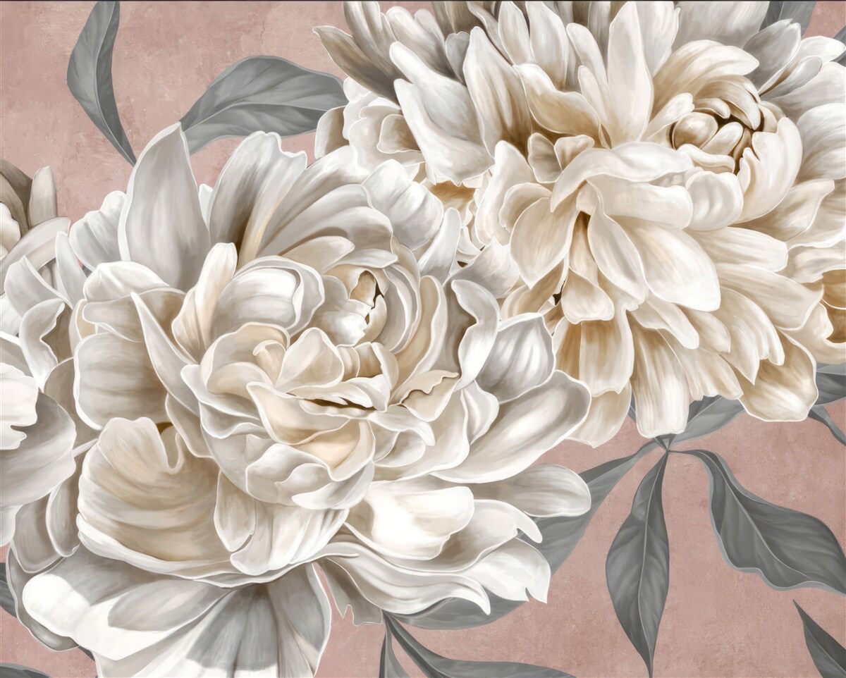 Papier peint d'immenses pivoines blanches comme neige