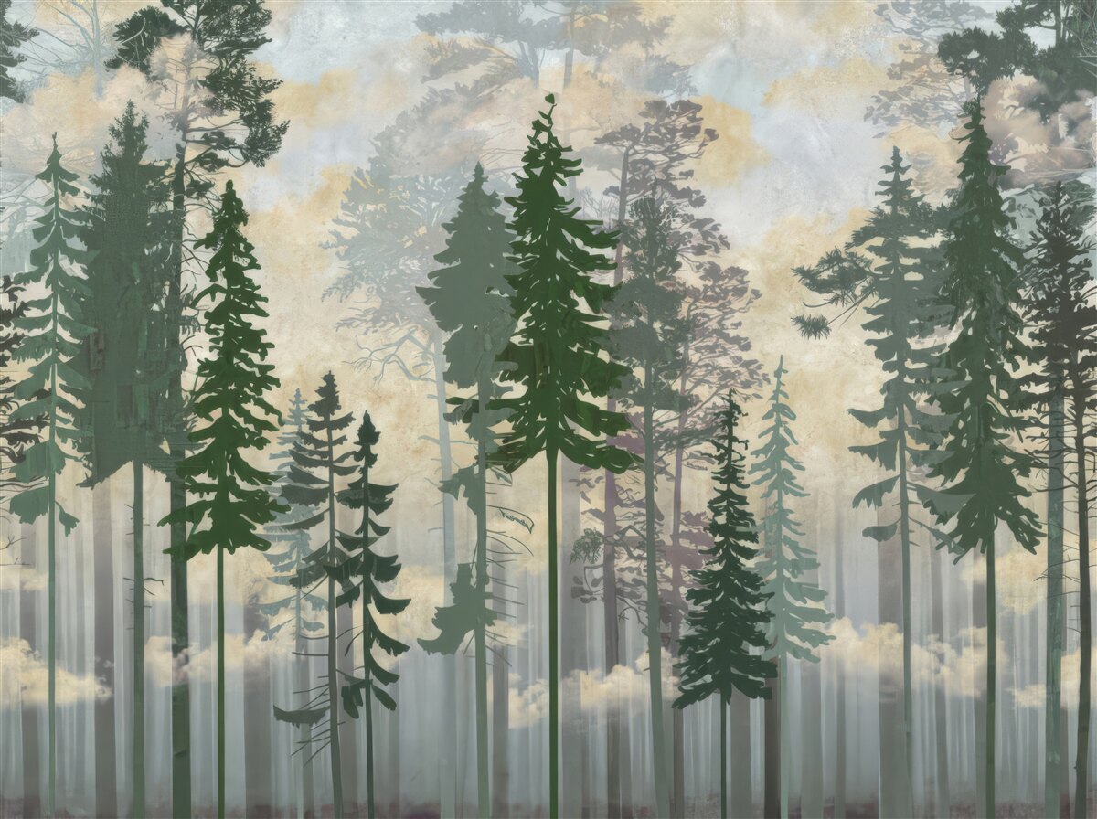 Papier peint forêt brumeuse entourée d'arbres