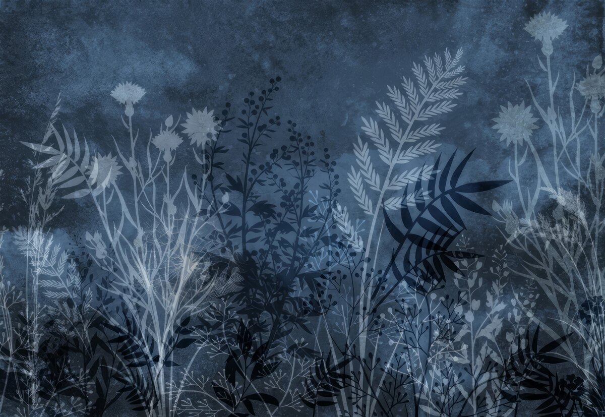 Papier peint la lune nocturne éclaire la prairie et les plantes