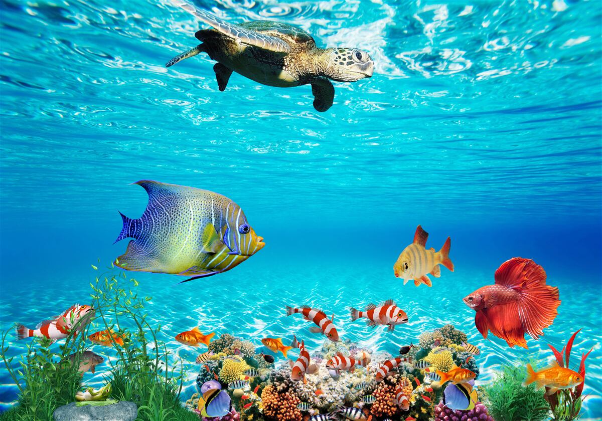 Papier peint les habitants marins des profondeurs de l'océan