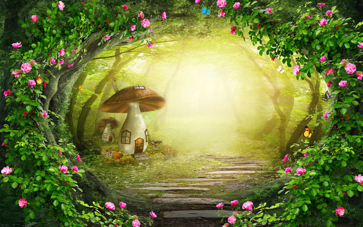 Papier peint champignonnière à l'aube dans la forêt