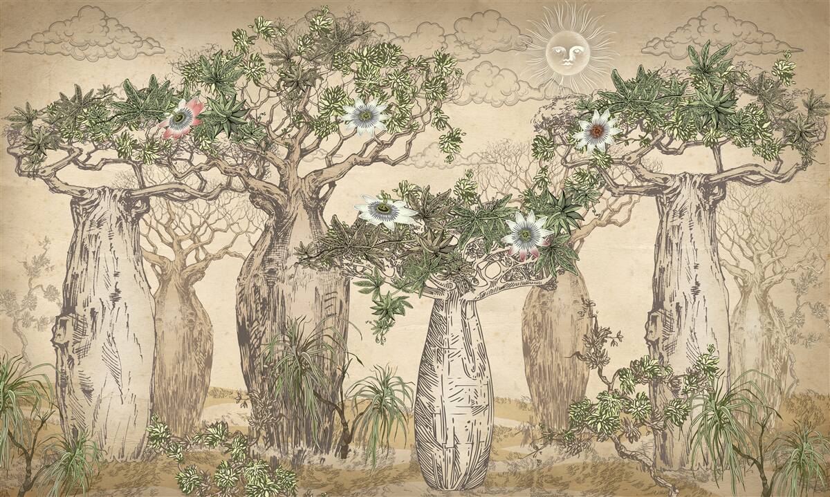 Papier peint des baobabs puissants et majestueux