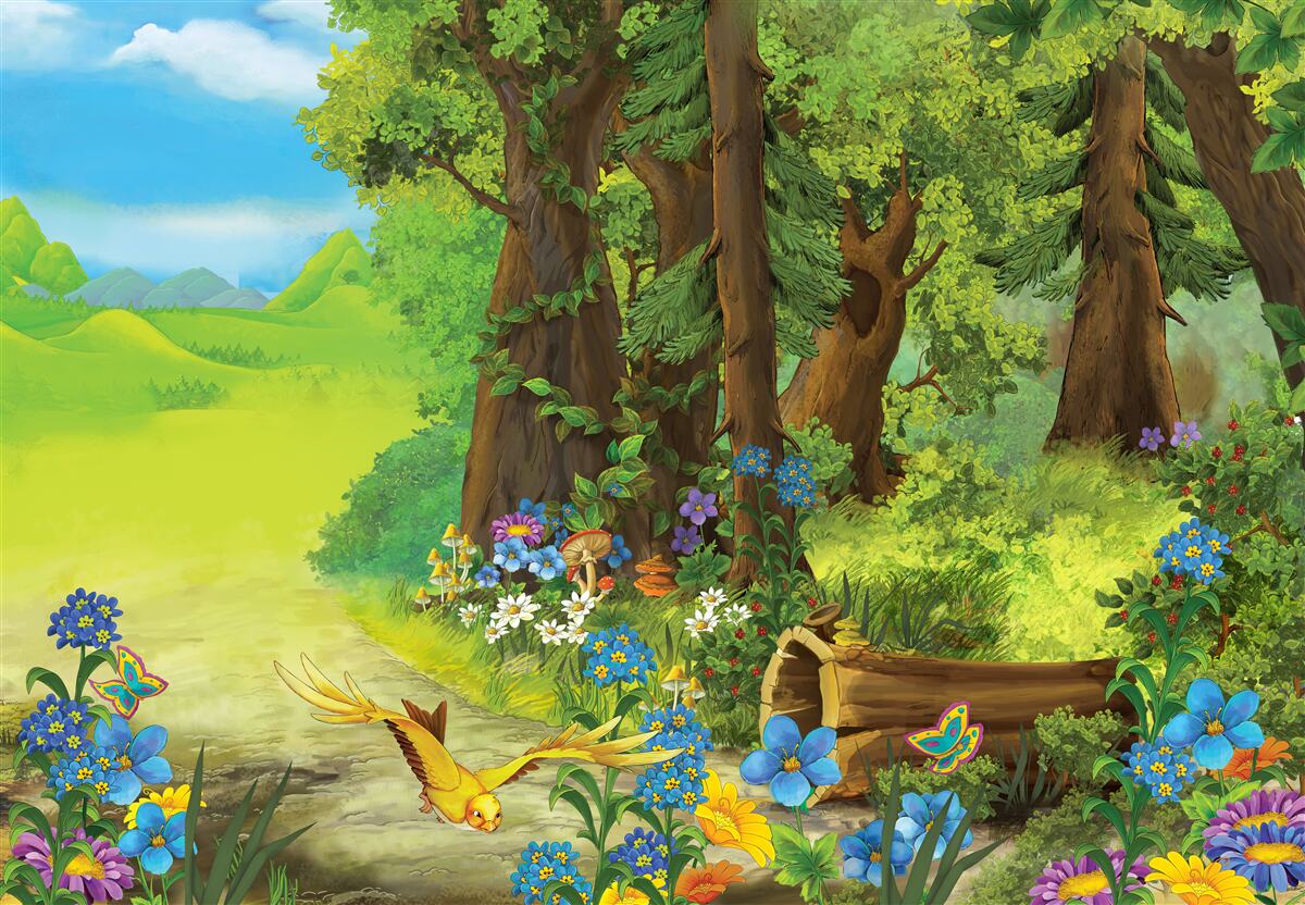 Papier peint forêt d'été verte et magique