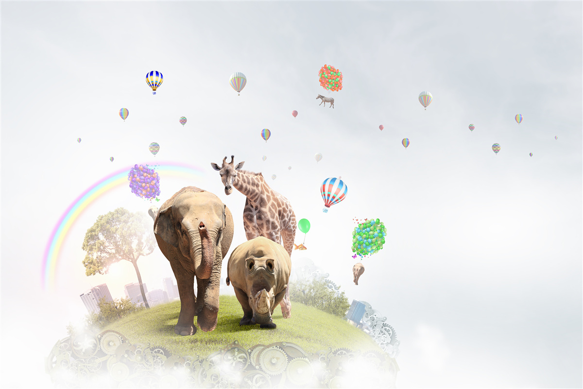 Papier peint arc-en-ciel et peuples d'afrique