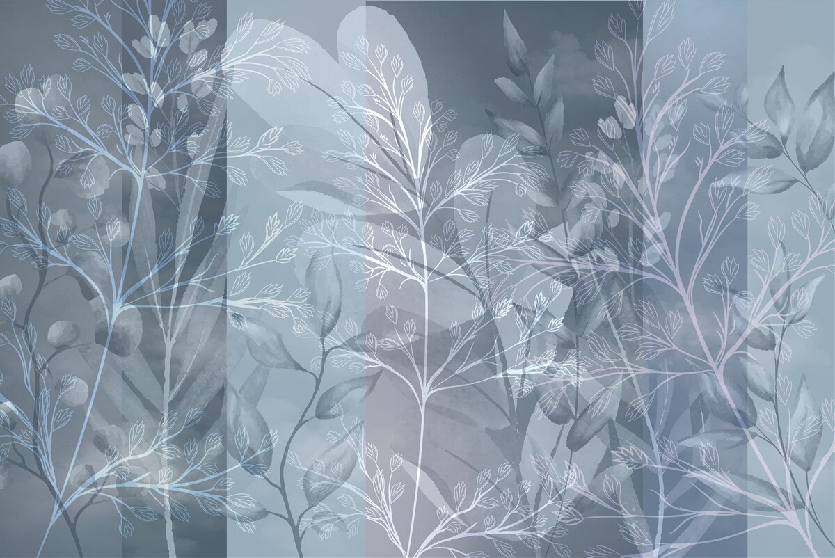 Papier peint arbustes enveloppés de brume dans la forêt