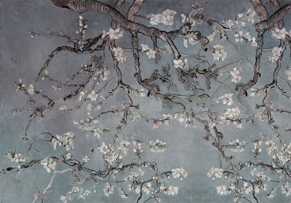 Papier peint branche de magnolia en fleur