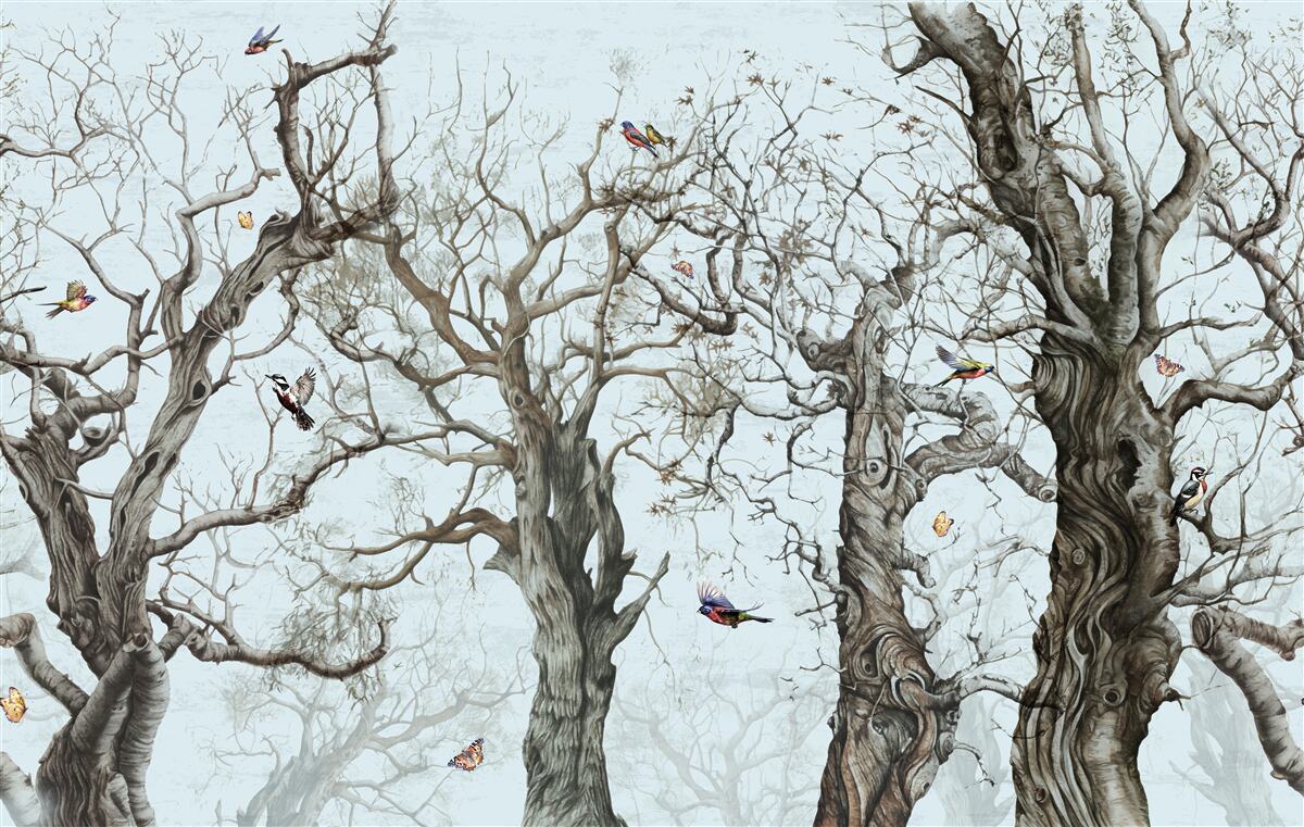 Papier peint les arbres en automne qui ont perdu leurs feuilles