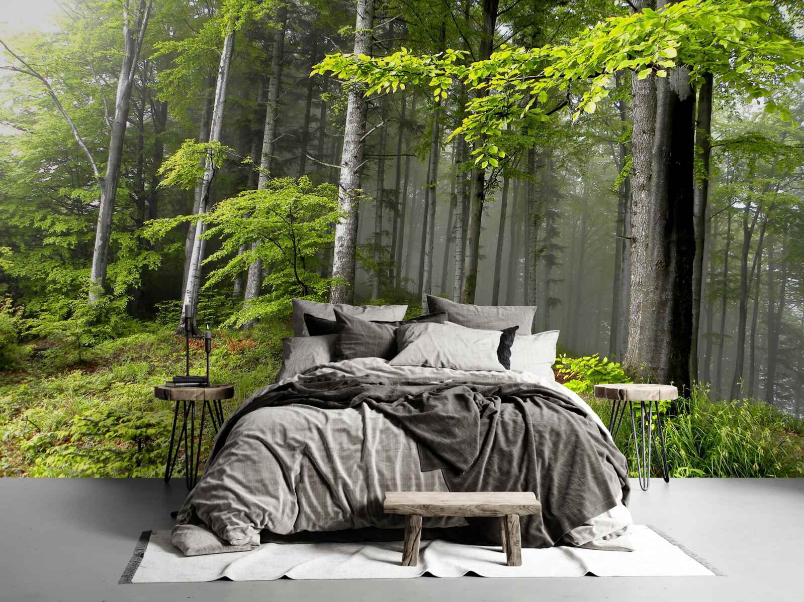 Papier peint forêt brumeuse avec des feuilles