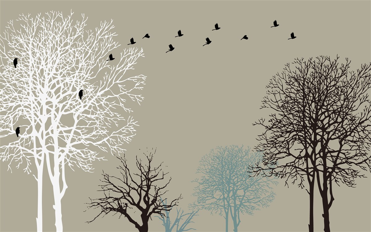 Papier peint les oiseaux volent au-dessus de la cime des arbres