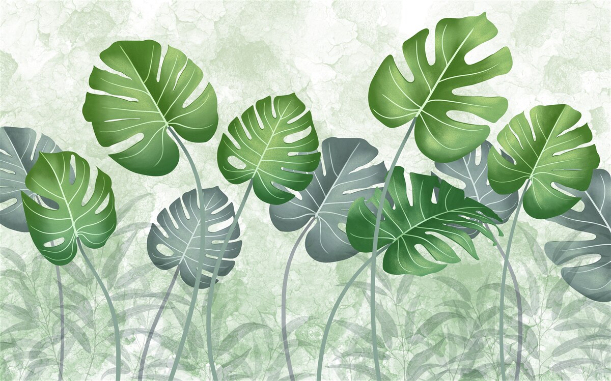Papier peint grandes feuilles de monstera et de fougère